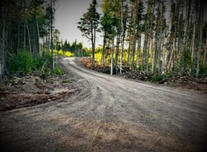 Road 2